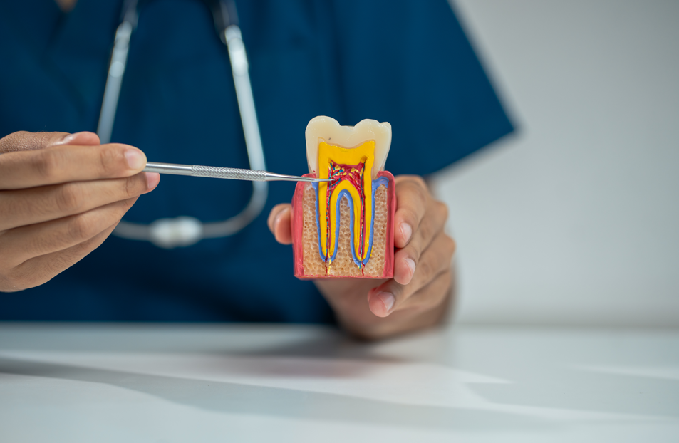 parodontitis-blogbeitrag